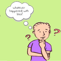 Whatever Happened with Zika?