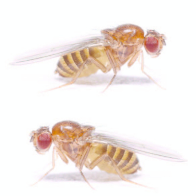 Carry The One Radio: The Science Podcast