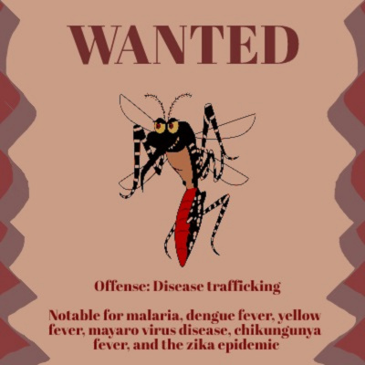 Carry The One Radio: The Science Podcast