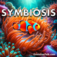 Symbiosis