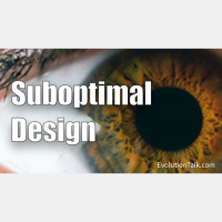 Suboptimal Design