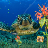 Promo Studio Idzerda: zee