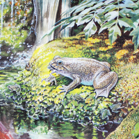 Ongehoord aflevering 2: jezelf zijn