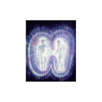 Sex Addiction in the Spiritist View