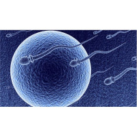 Fertility Treatments