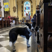 Episode 36: City of London Churches - St Botolph without Bishopsgate