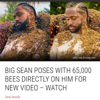 Big Sean Covered In 65,000 Bees For A Music Video