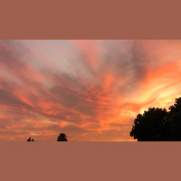 Please and Thank You - Audio