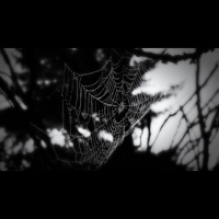 You Know Whats Really Scary? - Audio