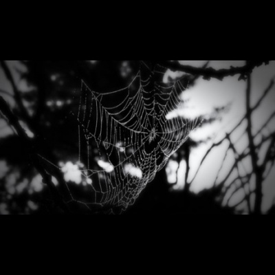 Uu Fellowship Of San Luis Obispo County