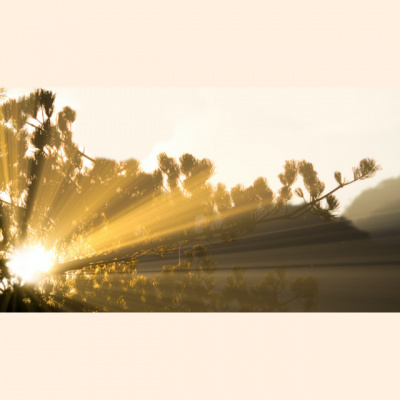 Uu Fellowship Of San Luis Obispo County