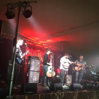 Majestic Bears. spirit of folk 2015