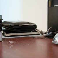 Programas del 13 de Julio