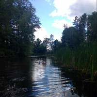 Banfield/Locke Center for the Arts Fair #Fridley MN