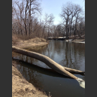 #Vipadvisor Response and Example to Photo Labeling