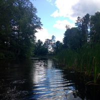 SSI: changing what it means to be blind