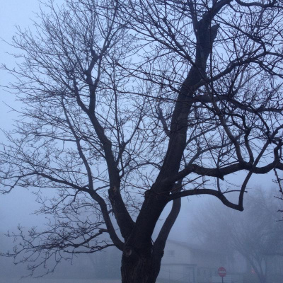 Blindabilities Studios Posts