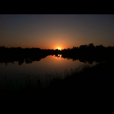 Blindabilities Studios Posts