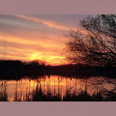 Blindabilities Studios Posts