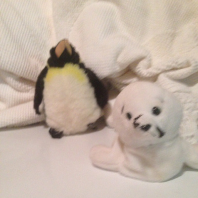 Blindabilities Studios Posts