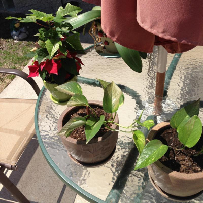 Blindabilities Studios Posts