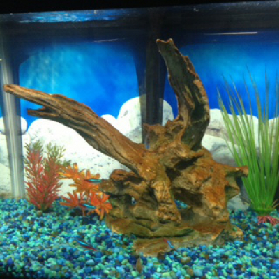 Blindabilities Studios Posts