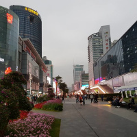 Healthy Homes Hikoi - From behind the great firewall