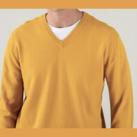 The Albion Roar - 16th November 2022 with guest Paul Barber