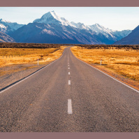 The Albion Roar - 14 September 2022 with guest Brian Owen