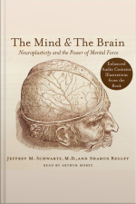 The Mind and the Brain