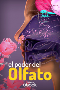 El poder del olfato 