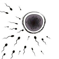 History of Medicine #24: Suitable for Parenthood: The Eugenics of Reproductive Health in Mid-Twentieth-Century Britain