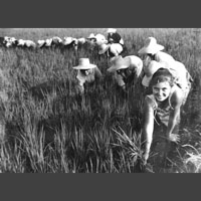 Oxford Brookes Centre For Health, Medicine And Society Podcasts