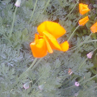 Episode 1 - The Reason