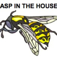 Fluency Practice: Wasp in the House!