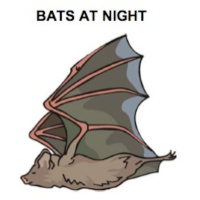Fluency Practice: Bats at Night