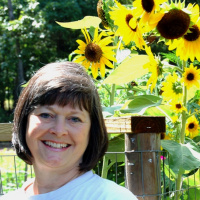 I Have a Life (Podcast #4)