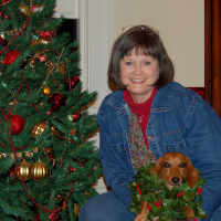 Why Writers Write (Podcast #10)