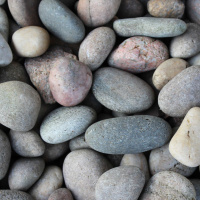 580. Sonnet 116 by William Shakespeare