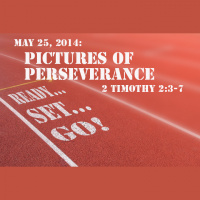 READY! SET! GO!: Pictures of Perseverance