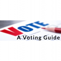 A VOTING GUIDE: A Proper Perspective on Government