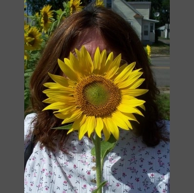 Sunflowers In The City