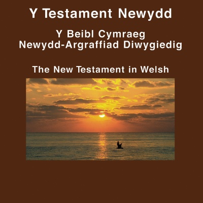 Beibl cymraeg - Welsh Bible
