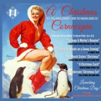 NARADA AUDIO DRIVE-IN #3 