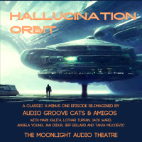 AUDIO GROOVE CATS - Hallucination Orbit