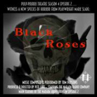 NARADA AUDIO DRIVE-IN #2 