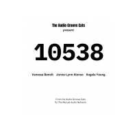 AUDIO GROOVE CATS - 10538