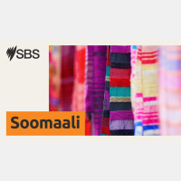 SBS News Somali: Warka Jimcaha 28 November 2025