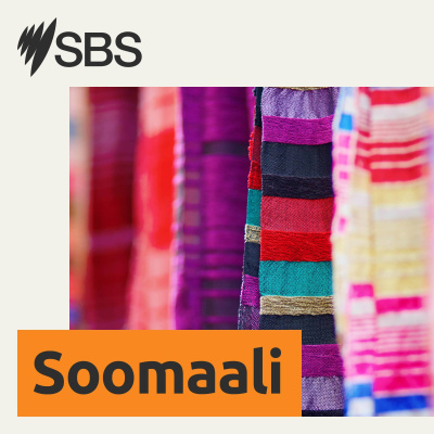 Sbs Somali - Sbs Afomali