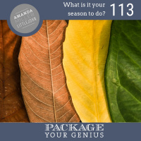 PYG 113: What is it your season to do?